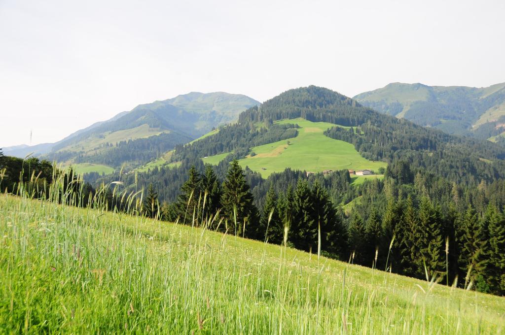 Vorderaltensberg Auffach Exteriér fotografie